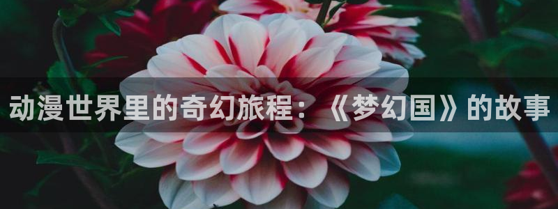 age动漫网上看：动漫世界里的奇幻旅程：《梦幻国》的故事