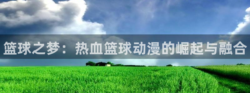 age动漫官网在线入口：篮球之梦：热血篮球动漫的崛起与融合