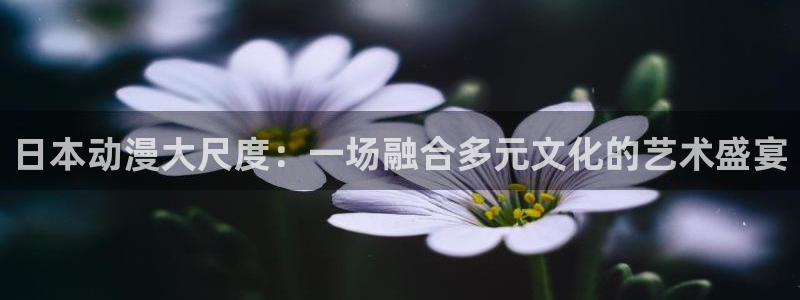 age动漫官网版入口：日本动漫大尺度：一场融合多元文化的艺术盛宴
