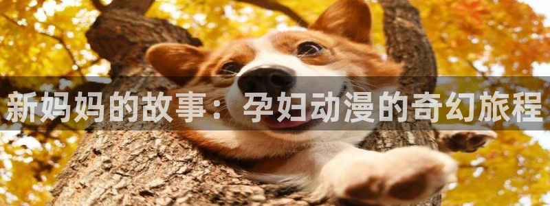 age动漫官网在线入口：新妈妈的故事：孕妇动漫的奇幻旅程