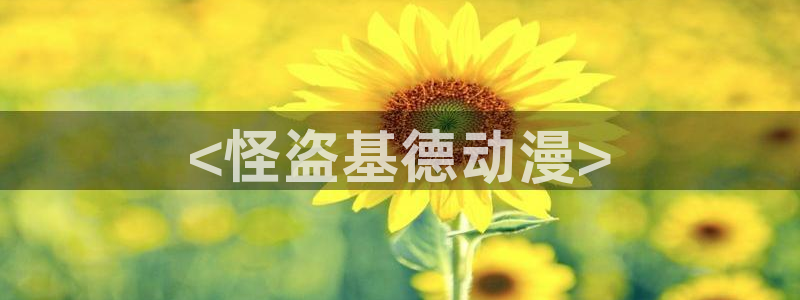 age漫画网：<怪盗基德动漫>