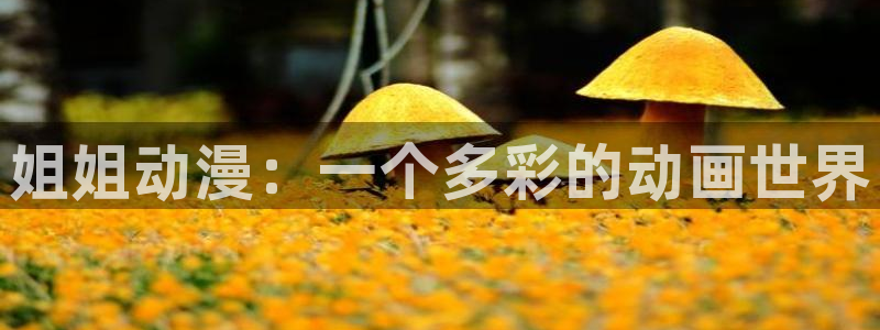 拷贝漫画 copymanager.ory网站：姐姐动漫：一个多彩的动画世界