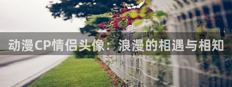 lovestage漫画免费阅读：动漫CP情侣头像：浪漫的相遇与相知