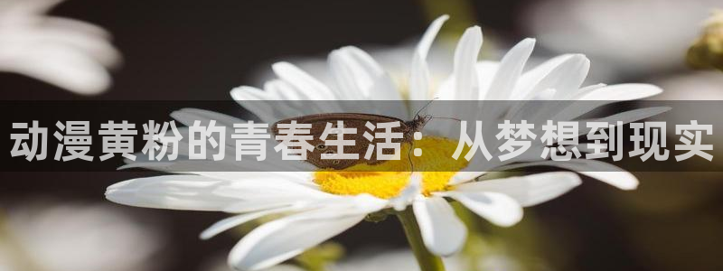 age动漫官网在线入口：动漫黄粉的青春生活：从梦想到现实