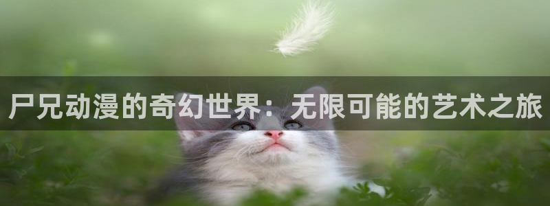 managereader漫画官网入口：尸兄动漫的奇幻世界：无限可能的艺术之旅