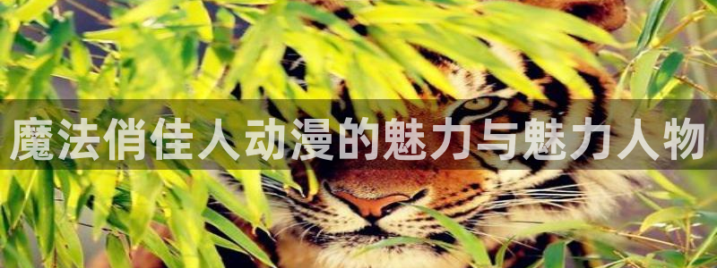 stagenehind韩漫免费观看：魔法俏佳人动漫的魅力与魅力人物