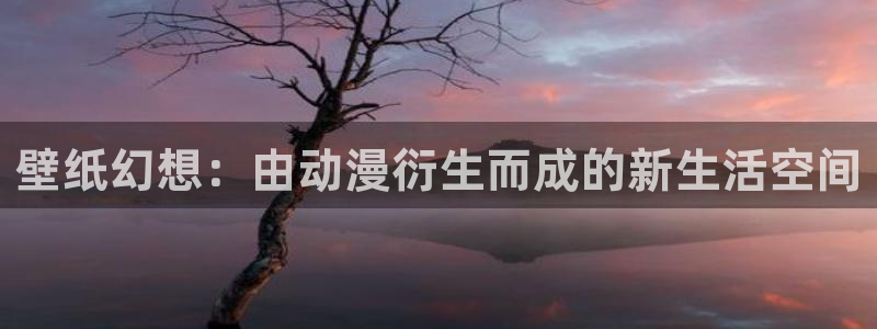 age专注动漫的门户网站：壁纸幻想：由动漫衍生而成的新生活空间