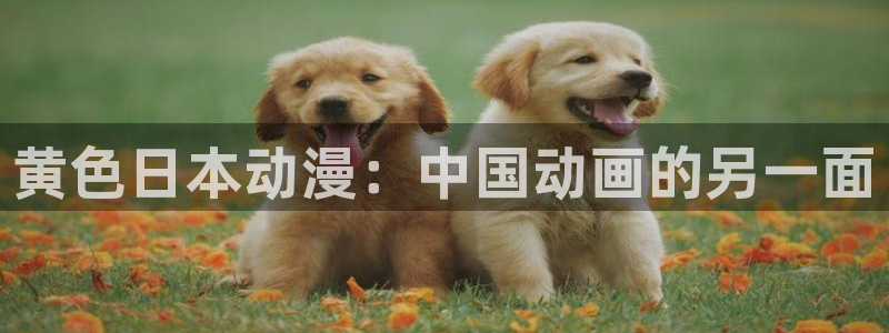 age动漫官网版入口：黄色日本动漫：中国动画的另一面