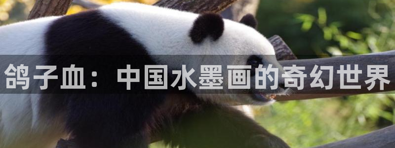 age动漫官网樱花动漫：鸽子血：中国水墨画的奇幻世界