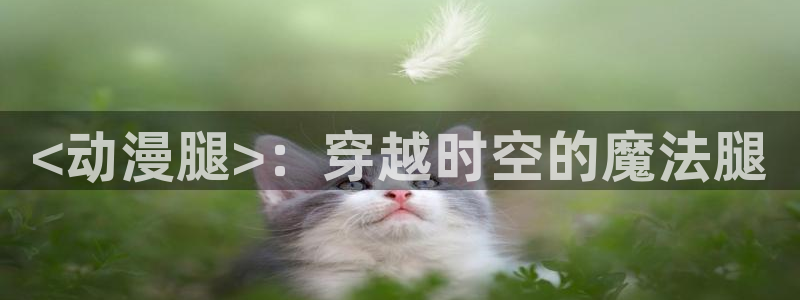 age动漫网：<动漫腿>：穿越时空的魔法腿